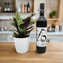 Load image into Gallery viewer, Housewarming Gift - Wine with Assorted Houseplant - Sydney Only