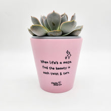 Load image into Gallery viewer, When Life's a Maze - Cheeky Plant Co. Positive Pot - 11cmD x 11cmH