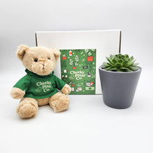 Load image into Gallery viewer, Teddy Bear & Succulent Gift Box