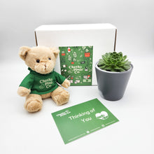 Load image into Gallery viewer, Teddy Bear & Succulent Gift Box
