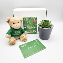 Load image into Gallery viewer, Teddy Bear & Succulent Gift Box