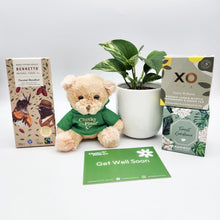 Load image into Gallery viewer, Get Well Soon - Assorted Plant Gift Hamper - Sydney Only