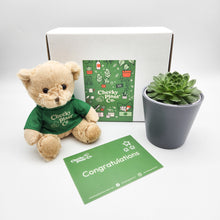 Load image into Gallery viewer, Teddy Bear & Succulent Gift Box