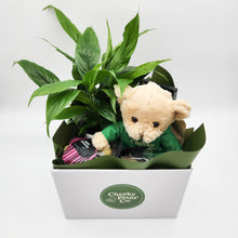 Load image into Gallery viewer, Thinking of You Gift Hamper - Better than Flowers - Sydney Only