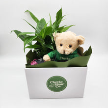 Load image into Gallery viewer, Thinking of You Gift Hamper - Better than Flowers - Sydney Only