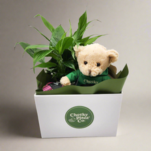 Load image into Gallery viewer, Thinking of You Gift Hamper - Better than Flowers - Sydney Only