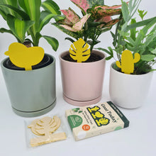Load image into Gallery viewer, Grow Well Plant Care Pack
