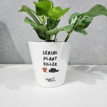 Load image into Gallery viewer, Serial Plant Killer - Cheeky Plant Co. Pot - 13.5cmD x 11.5cmH