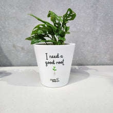 Load image into Gallery viewer, I Need A Good Root - Cheeky Plant Co. Pot - 13.5cmD x 11.5cmH