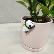 Load image into Gallery viewer, Panda Pot Hanger 3.5cm