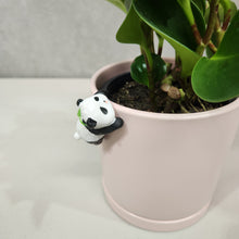 Load image into Gallery viewer, Panda Pot Hanger 3.5cm