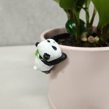 Load image into Gallery viewer, Panda Pot Hanger 3.5cm