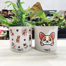 Load image into Gallery viewer, 6 Cuties for Kids - Pot Bundle
