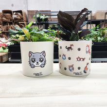 Load image into Gallery viewer, 6 Cuties for Kids - Pot Bundle