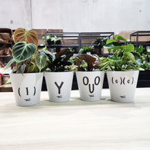 Load image into Gallery viewer, Potted Plants in Rude Pots Four Pack Gift - Sydney Only