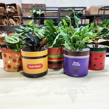 Load image into Gallery viewer, Soil Mate - Cheeky Plant Co. Pot -12.5cmD x 12cmH