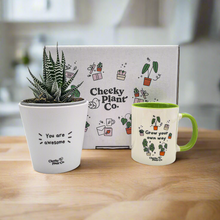 Load image into Gallery viewer, Positive Motivation - Succulent Gift Box