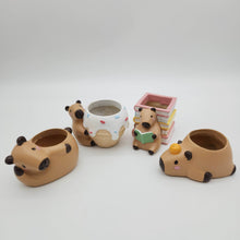 Load image into Gallery viewer, Capybara Four Pots Pack