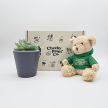 Load image into Gallery viewer, Teddy Bear & Succulent Gift Box
