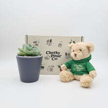 Load image into Gallery viewer, Teddy Bear & Succulent Gift Box