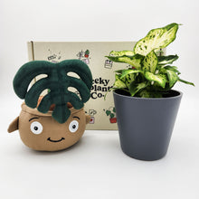 Load image into Gallery viewer, Plushie & Plant Gift Box