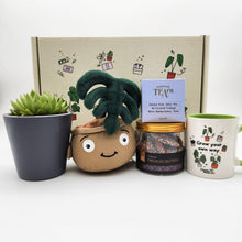 Load image into Gallery viewer, Happy Birthday - Succulent Gift Box