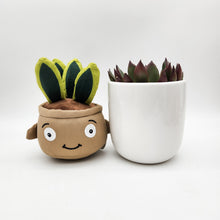 Load image into Gallery viewer, Succulent & Plant Plushie Gift - Sydney Only