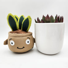 Load image into Gallery viewer, Succulent & Plant Plushie Gift - Sydney Only
