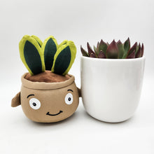 Load image into Gallery viewer, Succulent & Plant Plushie Gift - Sydney Only