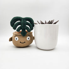 Load image into Gallery viewer, Succulent & Plant Plushie Gift - Sydney Only