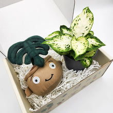 Load image into Gallery viewer, Plushie & Plant Gift Box