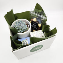 Load image into Gallery viewer, Wedding / Engagement - Succulent Gift Hamper - Sydney Only