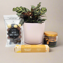 Load image into Gallery viewer, Happiest Birthday Plant Gift Hamper - Sydney Only