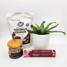 Load image into Gallery viewer, Pawfect Cat Friendly Plant Gift Hamper - Sydney Only