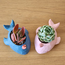 Load image into Gallery viewer, Blue and Pink Whales Duo Pots Pack