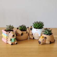 Load image into Gallery viewer, Capybara Four Pots Pack