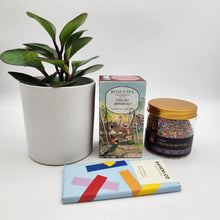 Load image into Gallery viewer, Christmas Plant Gift Hamper - Sydney Only