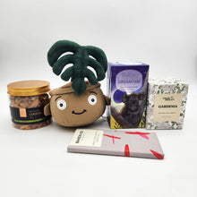 Load image into Gallery viewer, Comfort & Care Plant Plushie Gift Box