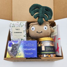 Load image into Gallery viewer, Comfort & Care Plant Plushie Gift Box