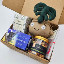Load image into Gallery viewer, Comfort & Care Plant Plushie Gift Box