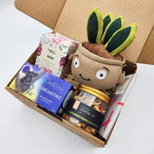 Load image into Gallery viewer, Comfort & Care Plant Plushie Gift Box
