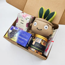 Load image into Gallery viewer, Comfort & Care Plant Plushie Gift Box