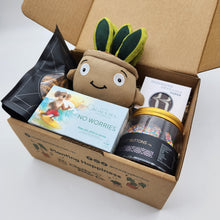 Load image into Gallery viewer, Happy Moments Plant Plushie Gift Box