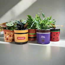 Load image into Gallery viewer, Burger - Cheeky Plant Co. Pot -12.5cmD x 12cmH