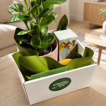 Load image into Gallery viewer, Pawesome Cat Friendly Plant Gift Hamper - Sydney Only