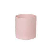 Load image into Gallery viewer, I Love You Plant Gift Hamper - Sydney Only