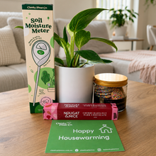 Load image into Gallery viewer, Happy Housewarming Plant Gift Hamper - Sydney Only