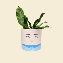Load image into Gallery viewer, Assorted Potted Plant - CHOOSE YOUR CHEEKY POT - Sydney Only