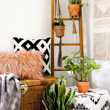 Load image into Gallery viewer, Support Your Plants - Trellis Bundle