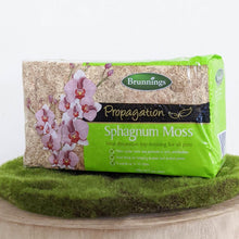 Load image into Gallery viewer, Brunnings Sphagnum Moss 150g